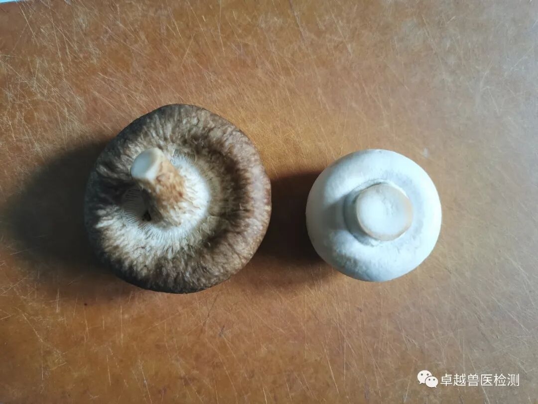 何老师读报告03：边缘评估